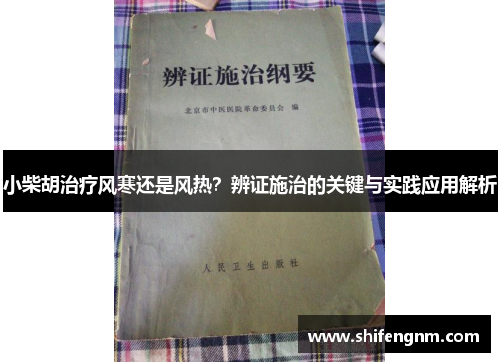 小柴胡治疗风寒还是风热？辨证施治的关键与实践应用解析