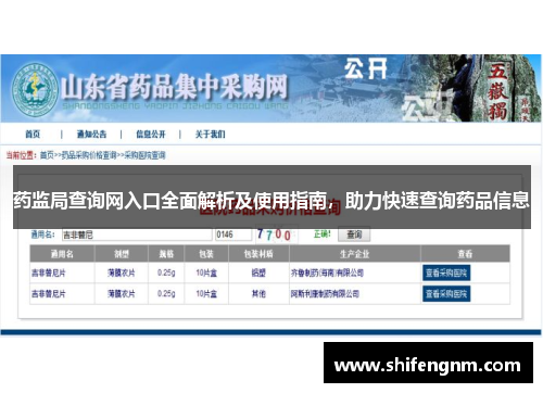 药监局查询网入口全面解析及使用指南，助力快速查询药品信息