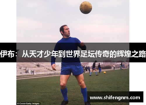 伊布：从天才少年到世界足坛传奇的辉煌之路